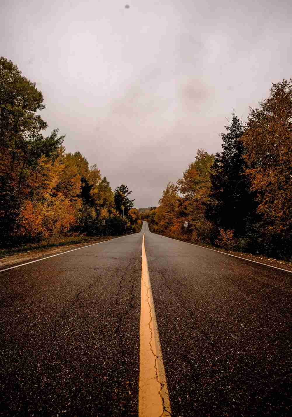 Landsväg på Hösten Poster