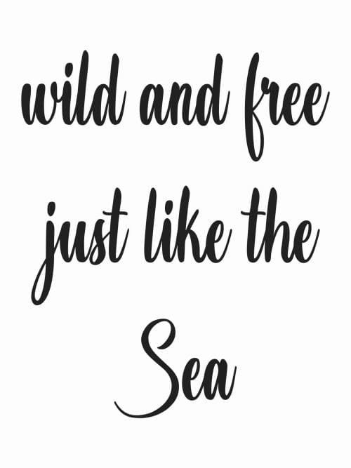 Wild And Free Just Like The Sea Poster