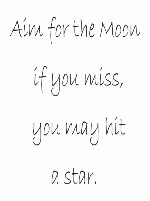 Aim For The Moon Poster