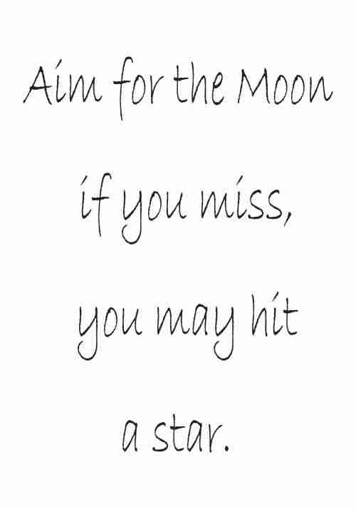 Aim For The Moon Poster