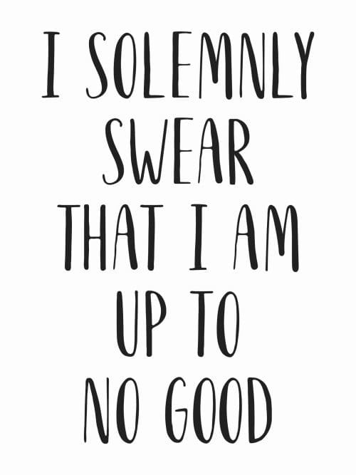 I Solemnly Swear That I Am Up To No Good Poster