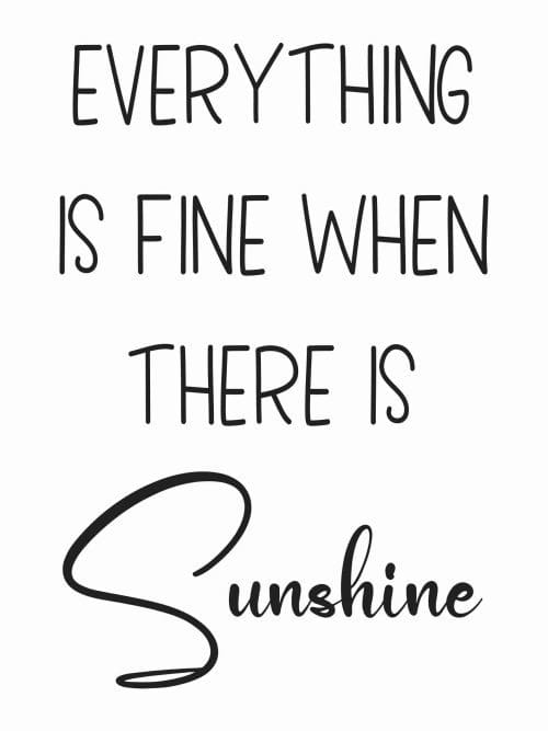 Everything is Fine When There is Sunshine Poster