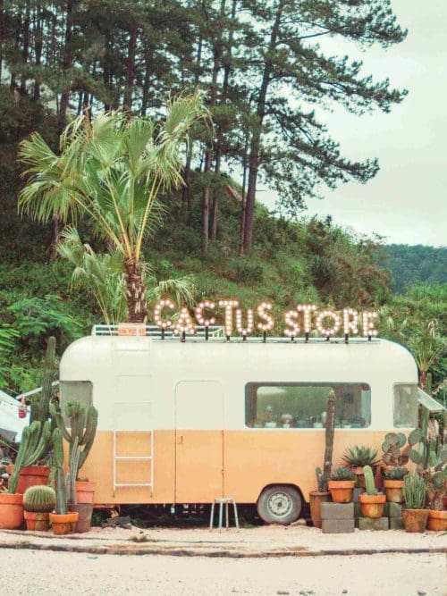 Cactus Store Poster