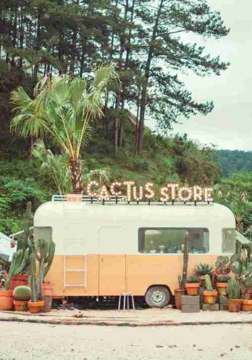 Cactus Store Poster