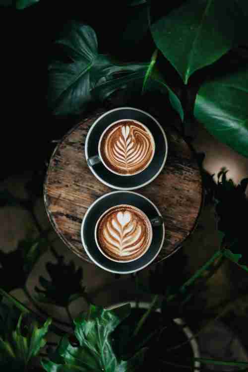 Naturlig Njutning: Kaffe Bland Lövverk