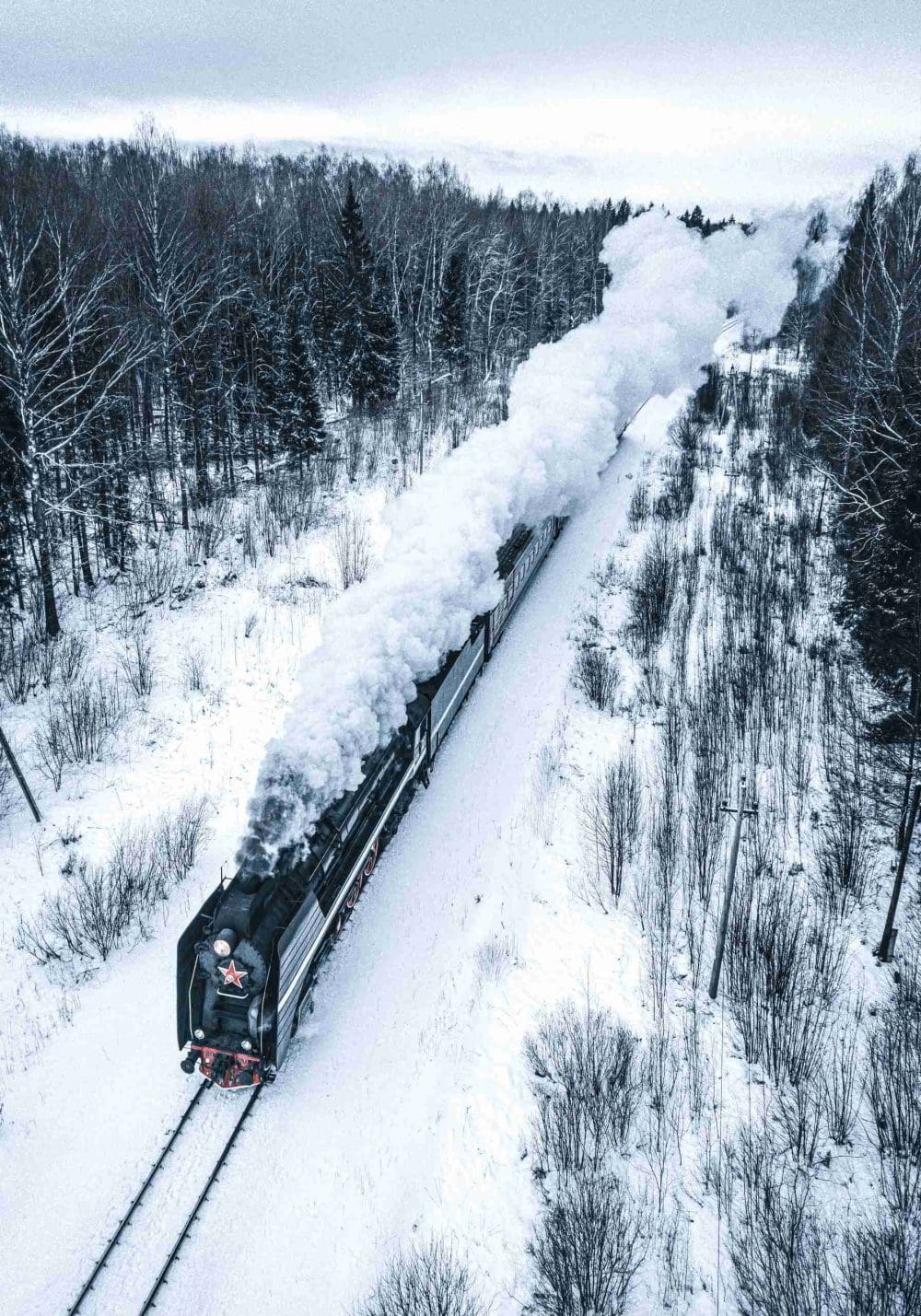 Tågresa genom Snötäckt Skog Poster