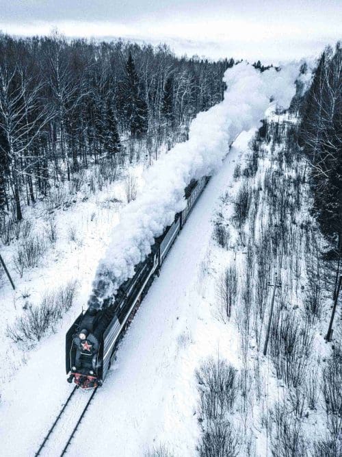 Tågresa genom Snötäckt Skog Poster