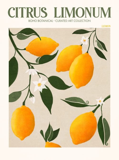 Citrus Limonum Poster