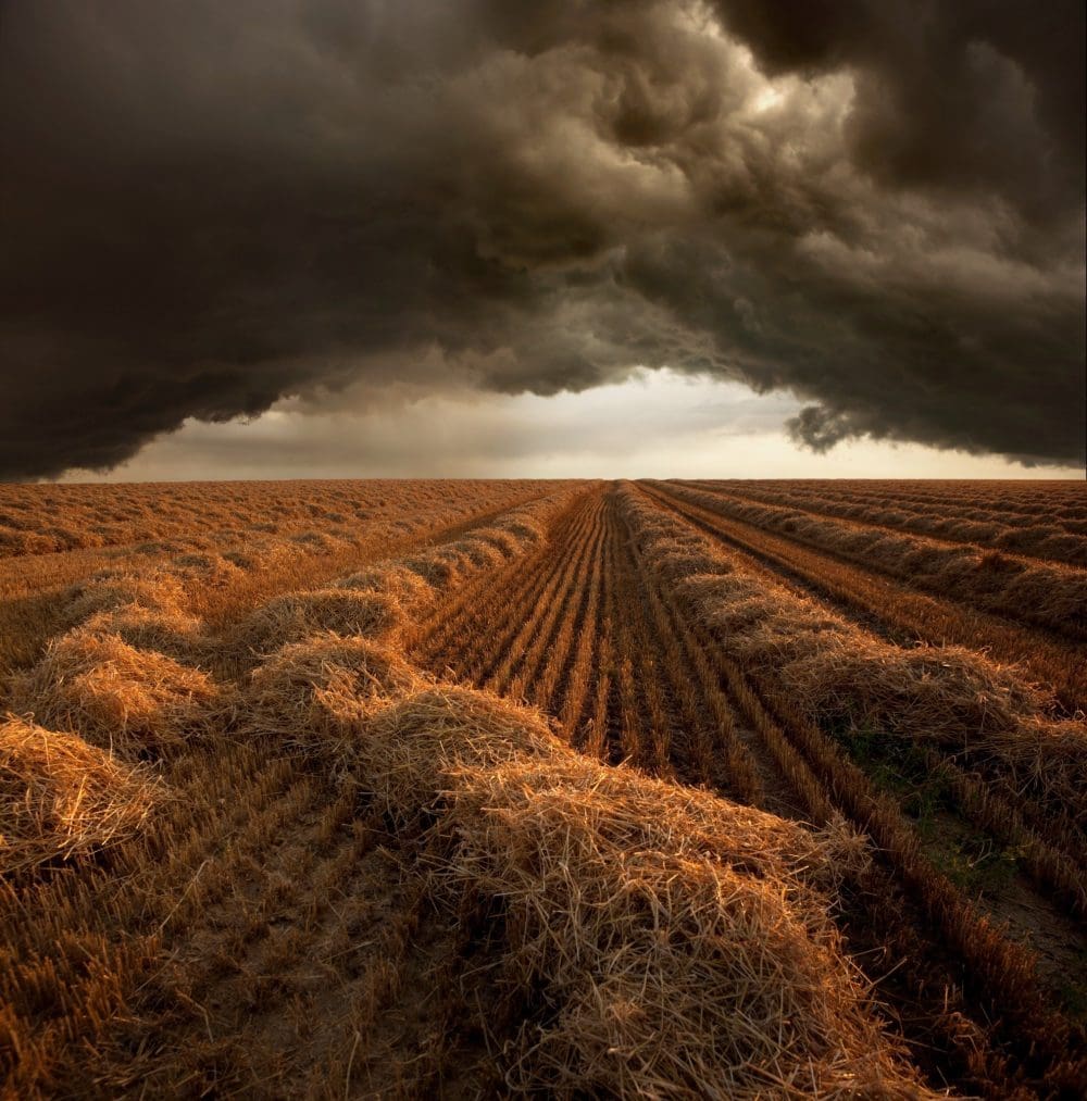 Storm över Fälten Poster