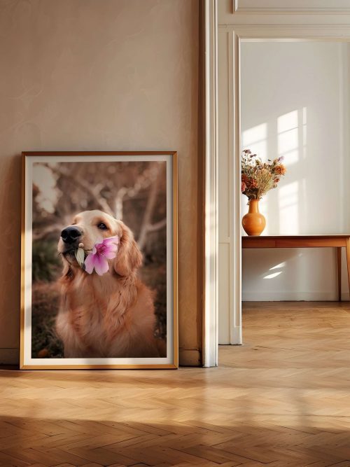 Golden Retriever med Rosa Blomma Poster